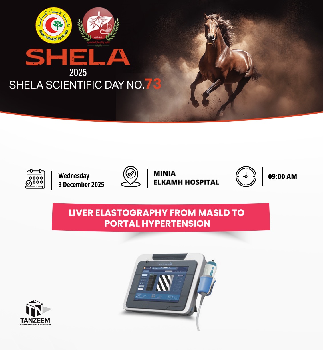 Liver elastography from MASLD to portal hypertension