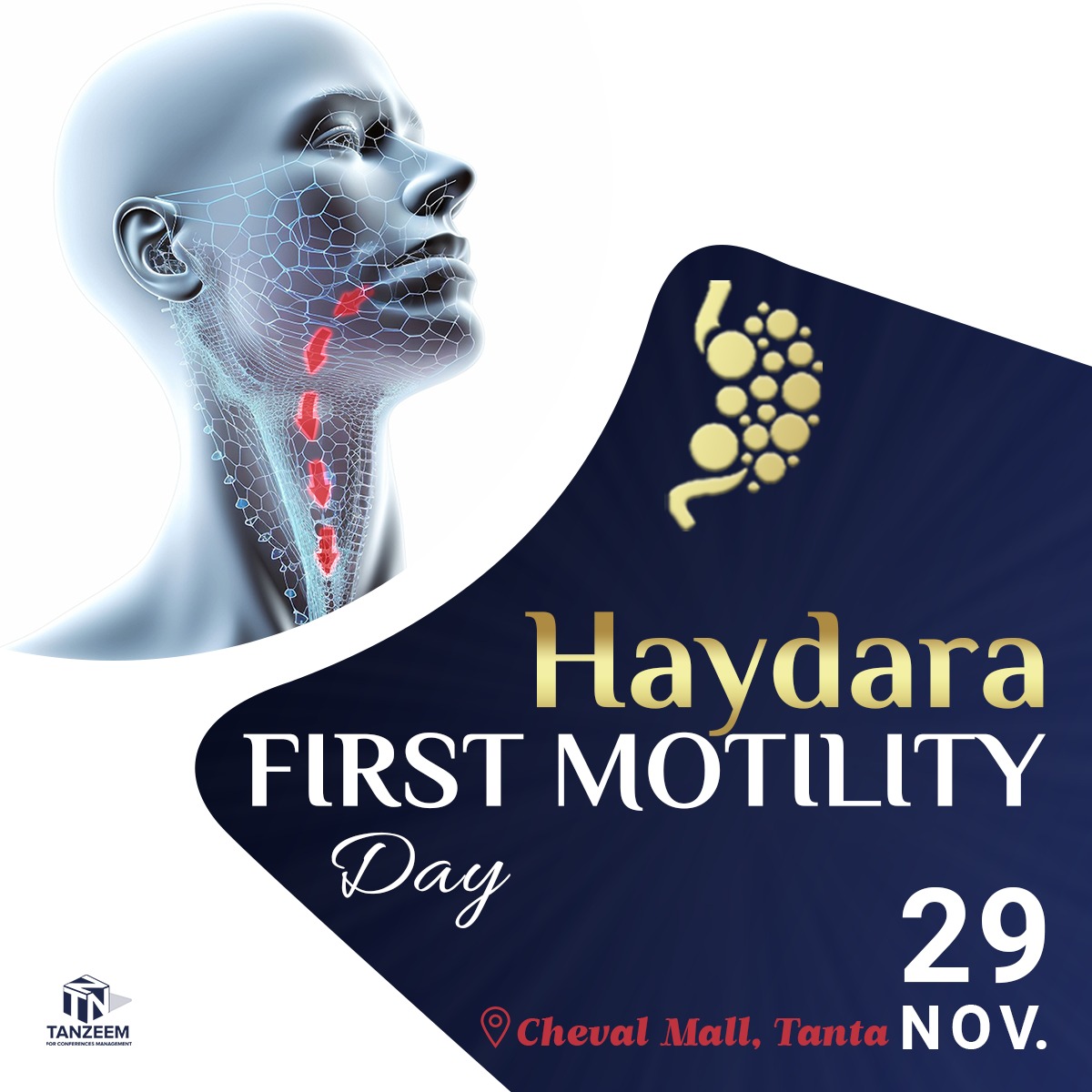 Haydara First Motility Day
