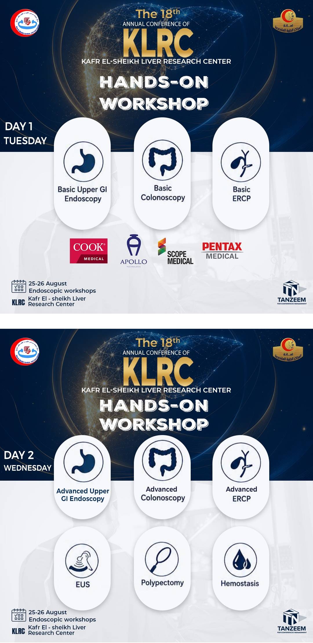 Workshop of The 18th Annual Conference of KLRC Kafr El Sheikh Liver Research Center